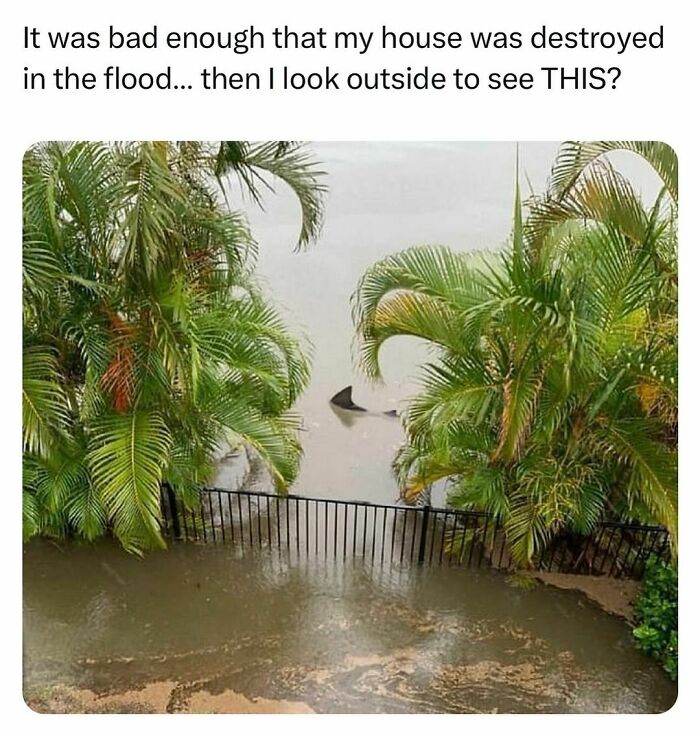 Funny-Relatable-Random-Memes