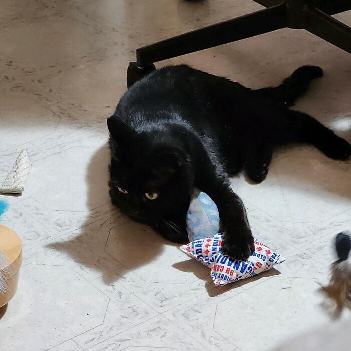 I Think She Likes Her New Toys