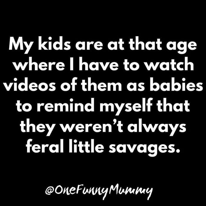 Funny-Sarcastic-Parenting-Adulting-Memes