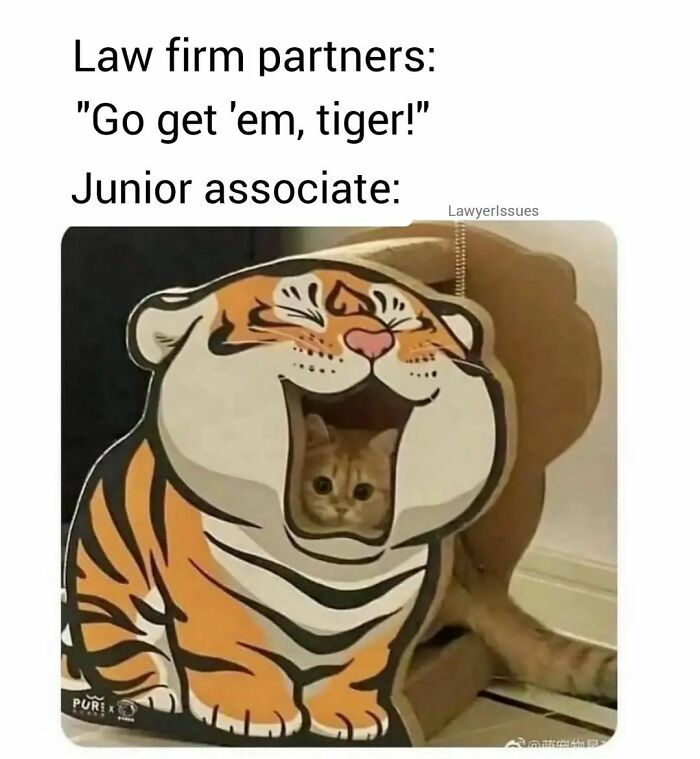 Funny-Lawyer-Memes