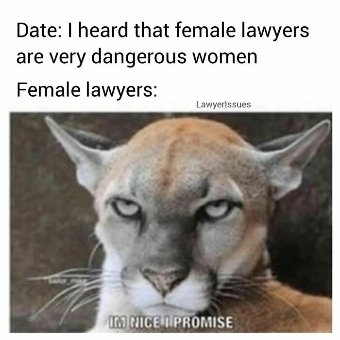 Funny-Lawyer-Memes