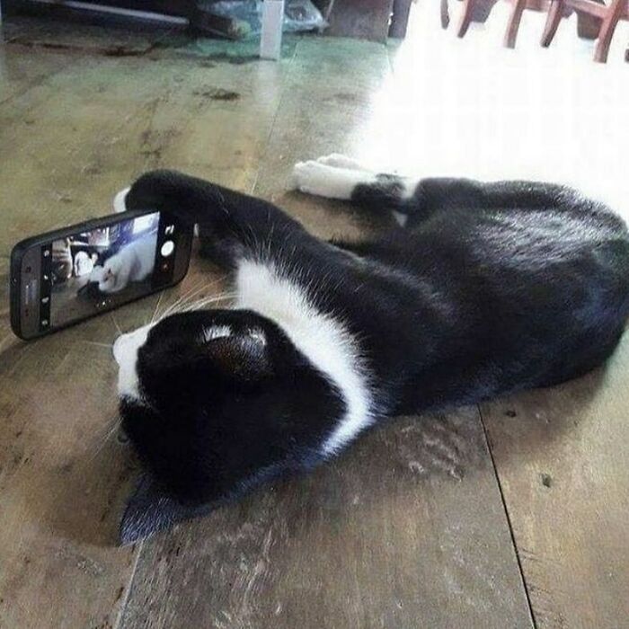 What Time Is It? Facetime