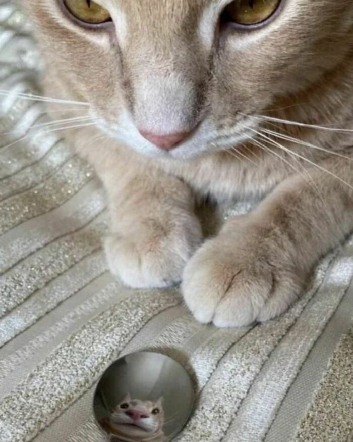 When Will My Reflection Show Who I Am Inside?