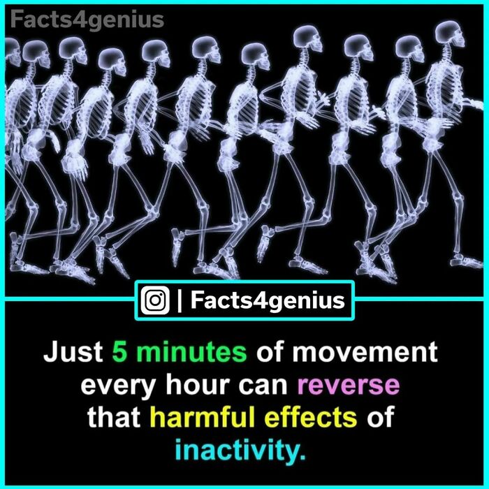Interesting-Facts-For-Genius-Instagram