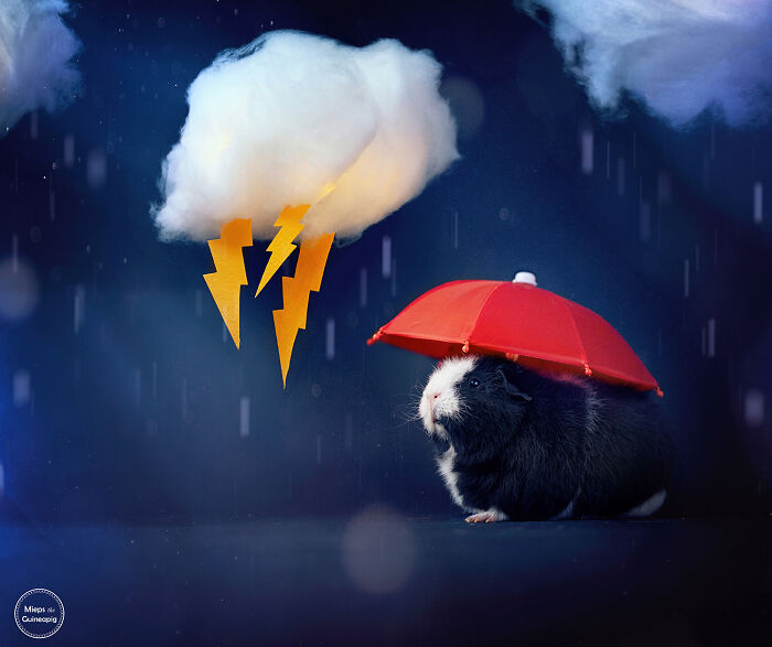 One Day The Rain Will Stop