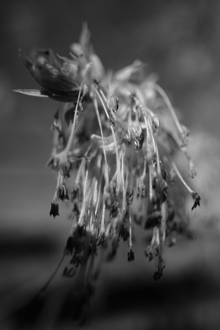 The Intersection Of Photography And Mindfulness (16 Pics)