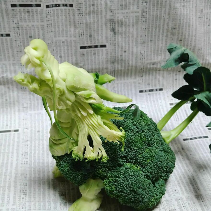 Gaku Carving, A Food Carving Artist, Changes Vegetables And Fruits Into Surprising Artworks (New Pics)