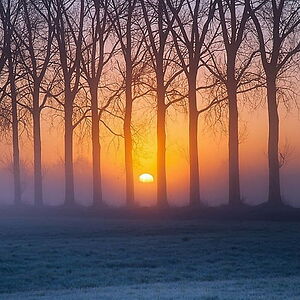 meghannorcross avatar