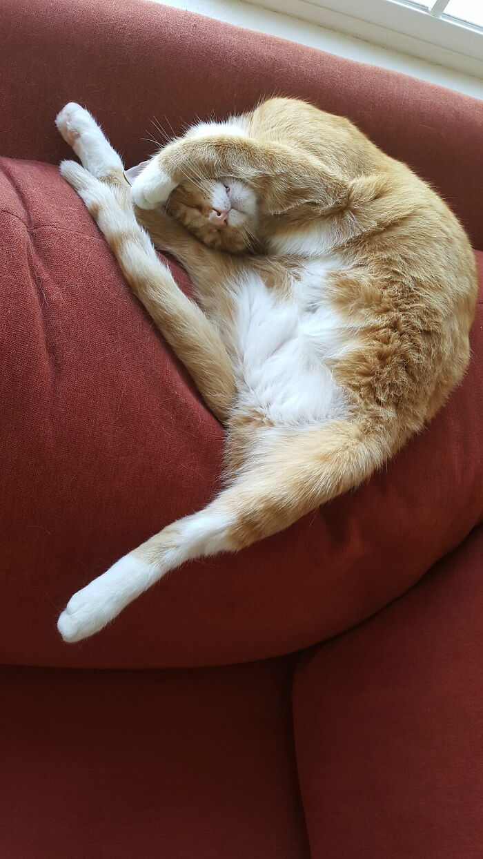 We Call This One "Boneless Bubba Pose"