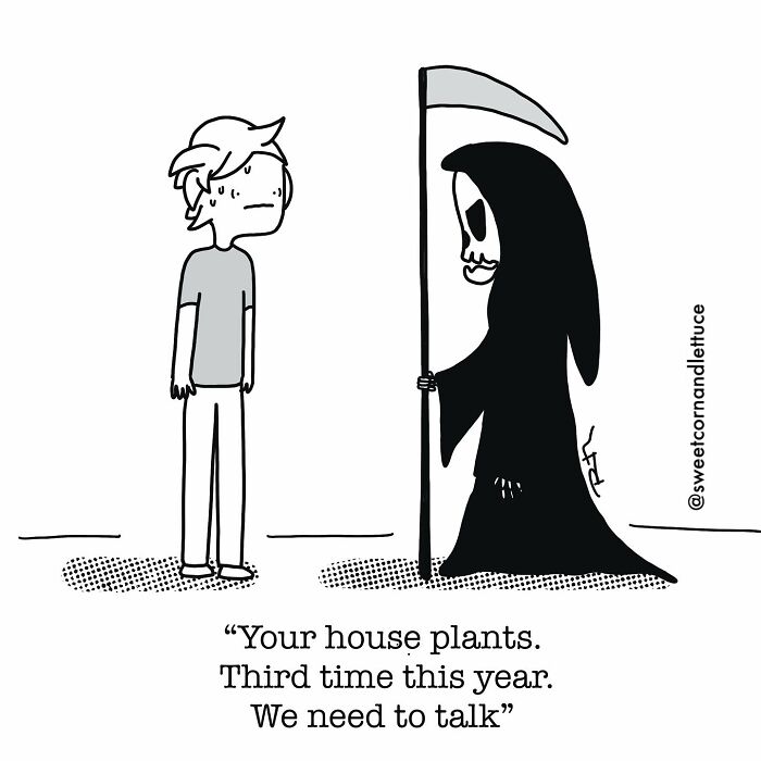 Relatable Everyday Life Cartoon By Ruth Martin Comics