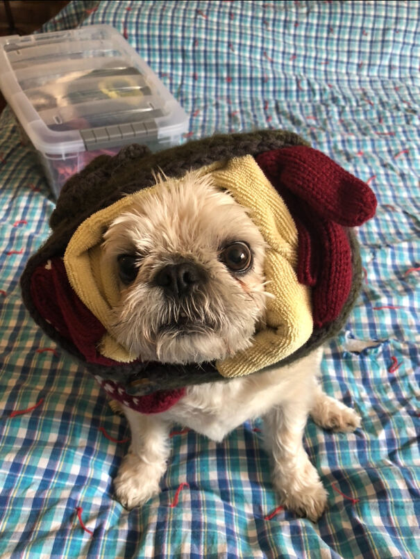 This Is Gizzy. She Is Exquisite And Enchanting