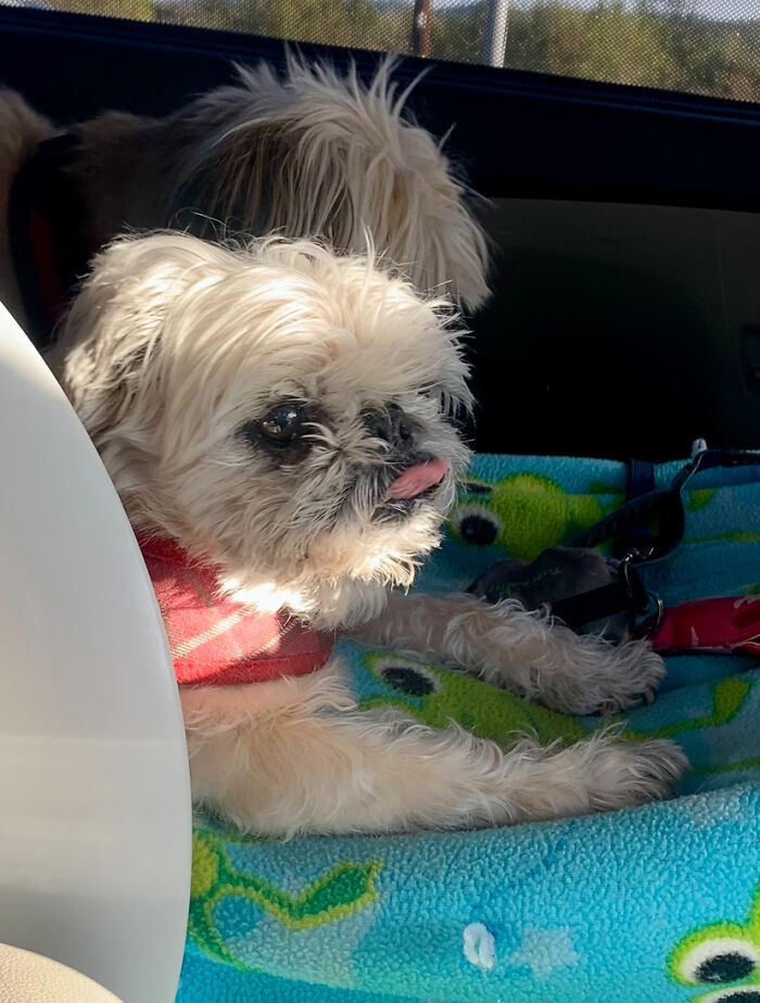 Sticking Her Tongue Out At Me