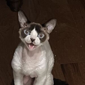 kris-carter2012 avatar