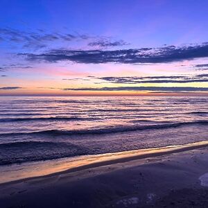 dorejunquemail avatar