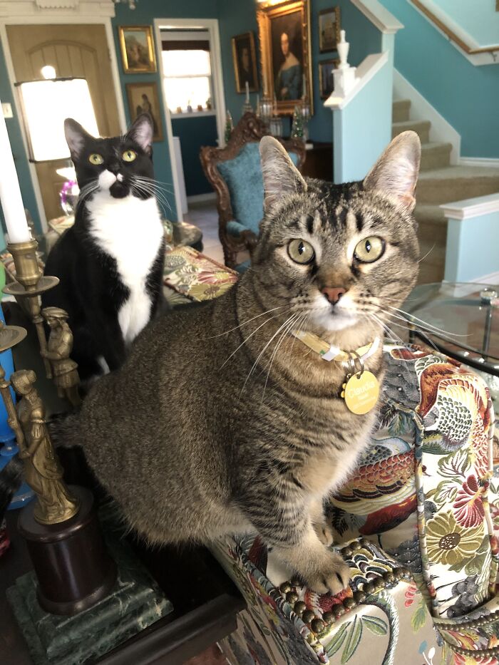 Pizzazz And Claudia Blaisdel, My Girls. They Keep Their Eyes On Me