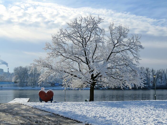 The First Snow, It Quickly Disappeared