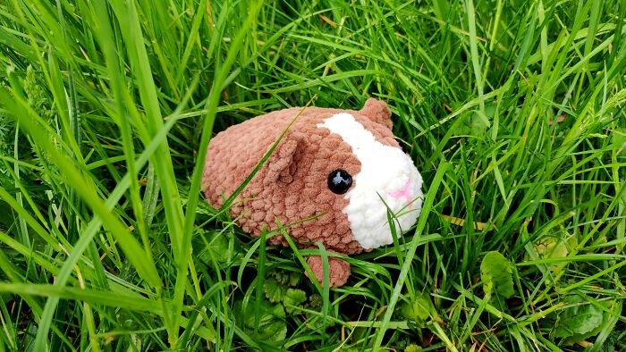 My Crochet Guinea Pig Toys From The Same Pattern But In Different Colors (15 Pics)