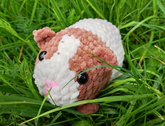 My Crochet Guinea Pig Toys From The Same Pattern But In Different Colors (15 Pics)