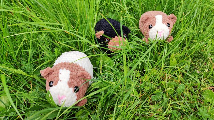 My Crochet Guinea Pig Toys From The Same Pattern But In Different Colors (15 Pics)