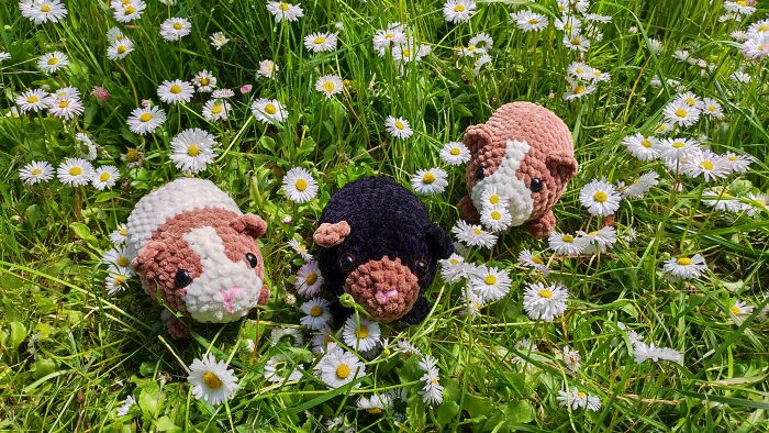 My Crochet Guinea Pig Toys From The Same Pattern But In Different Colors (15 Pics)