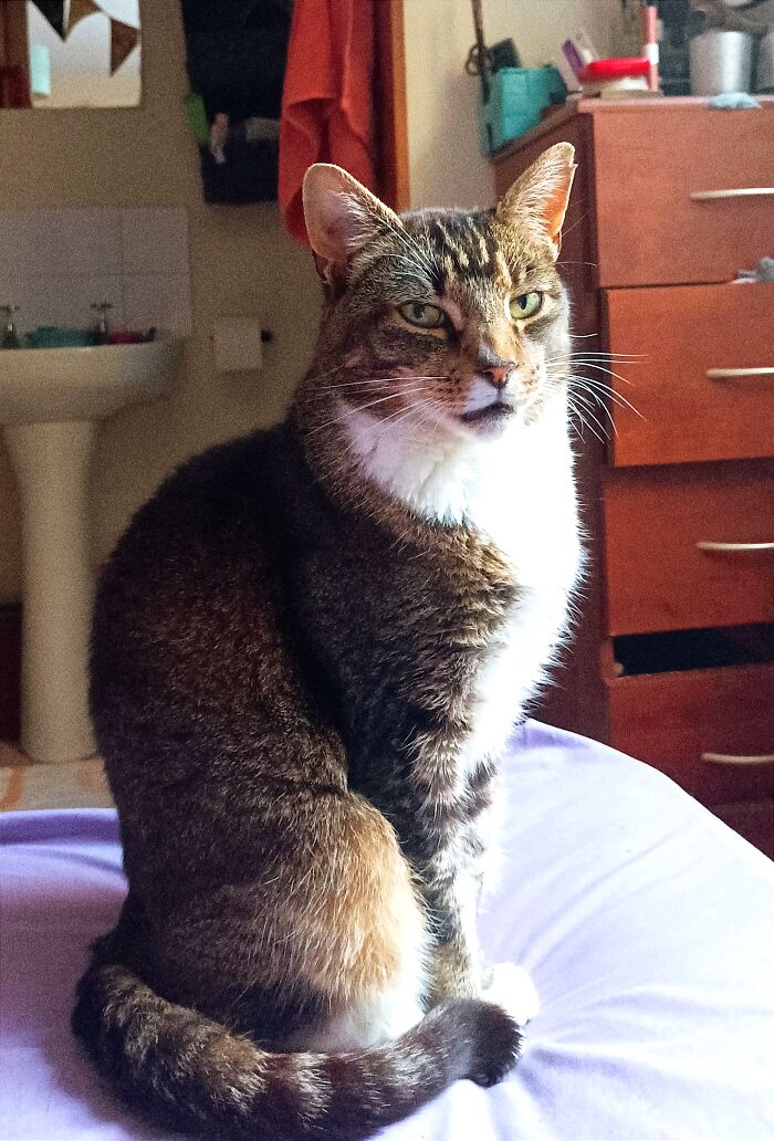 The Light Of My Life 💖