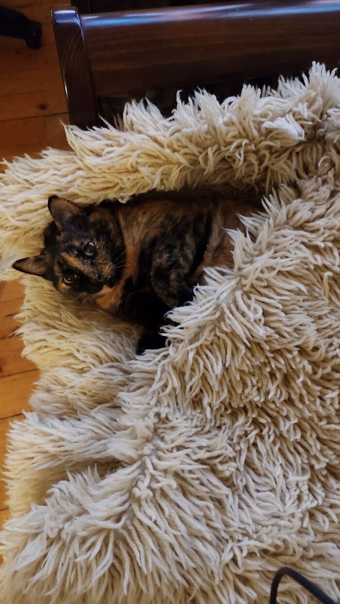 From The Streets To A Life Of Luxury