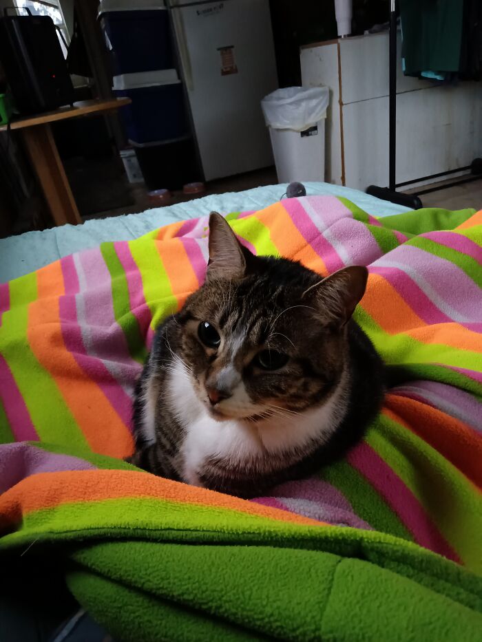 This Is Star She Has Helped Me Stay Sober