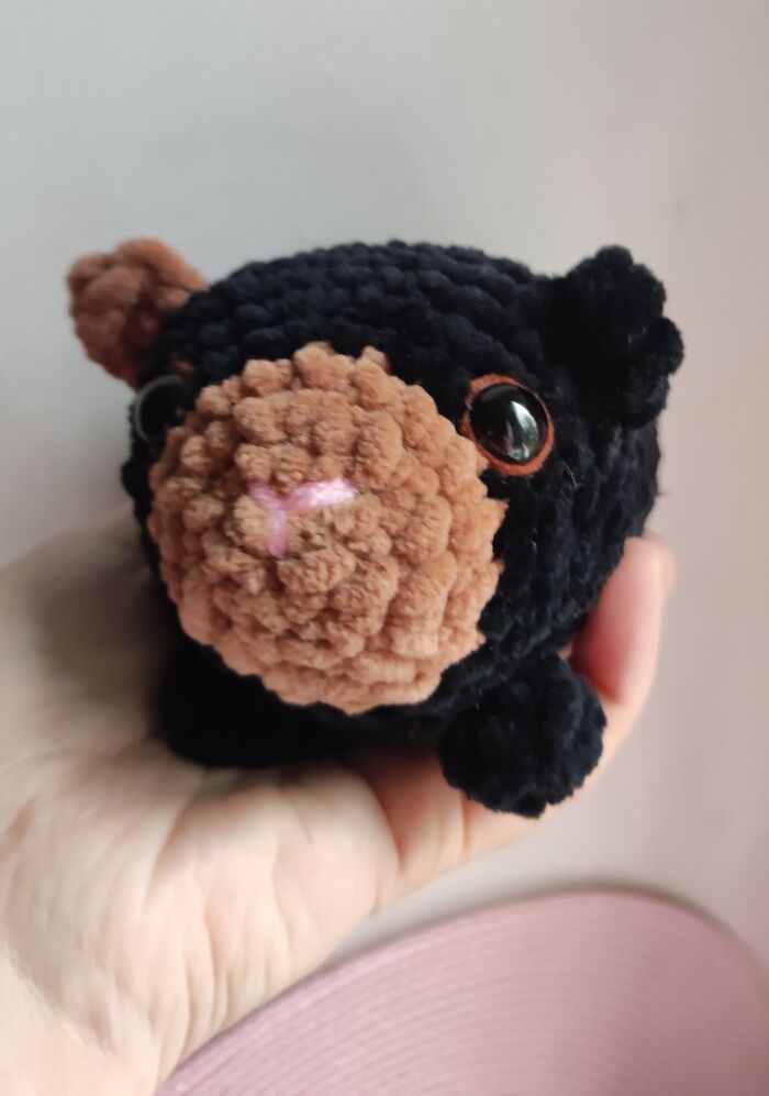 My Crochet Guinea Pig Toys From The Same Pattern But In Different Colors (15 Pics)