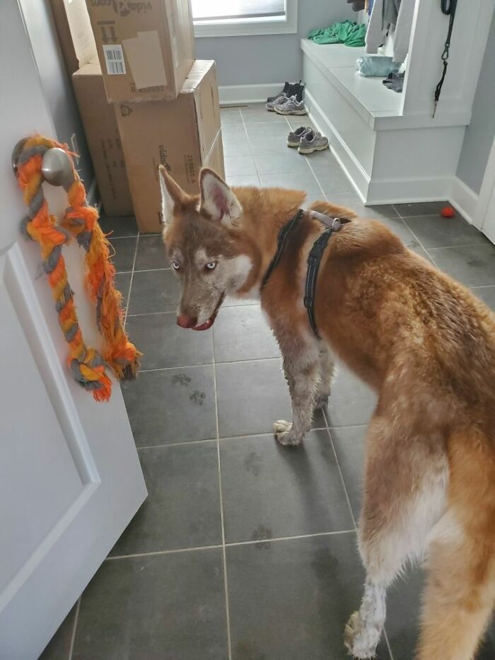 Spencer, Rocking The Mud Room Vibe