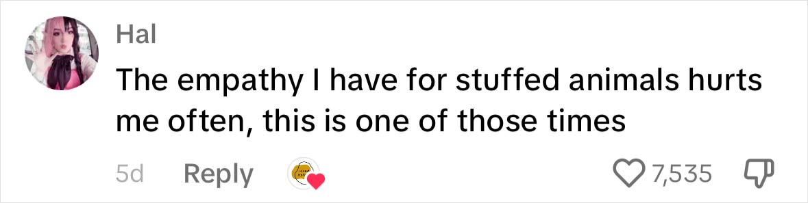 &ldquo;Loved Before&rdquo; Company Gives Old Soft Toys A Second Chance