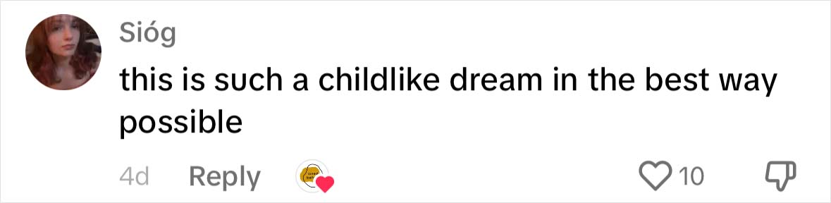 &ldquo;Loved Before&rdquo; Company Gives Old Soft Toys A Second Chance