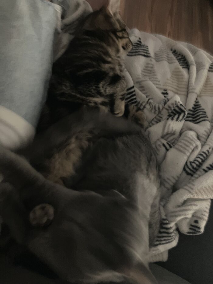 My Baby Noel And Her Brother Odin