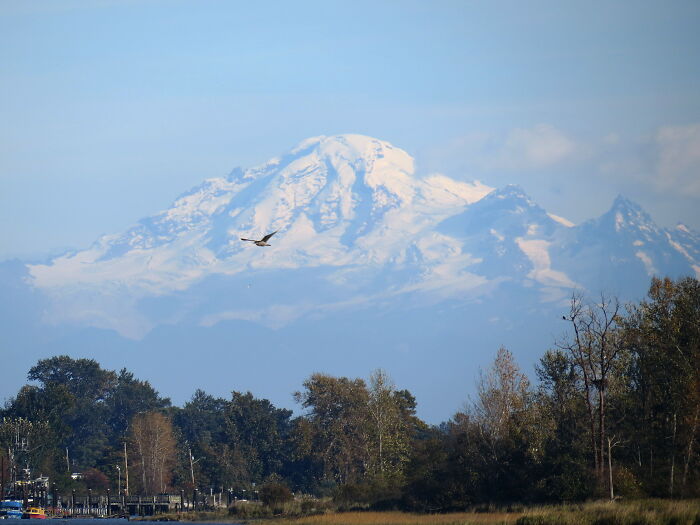 Mount Baker - Canadian Side