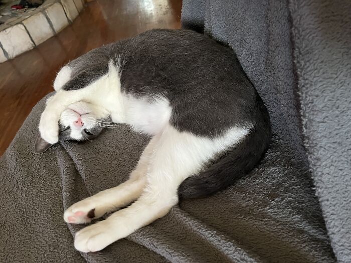 Steve, Doing Steve Things