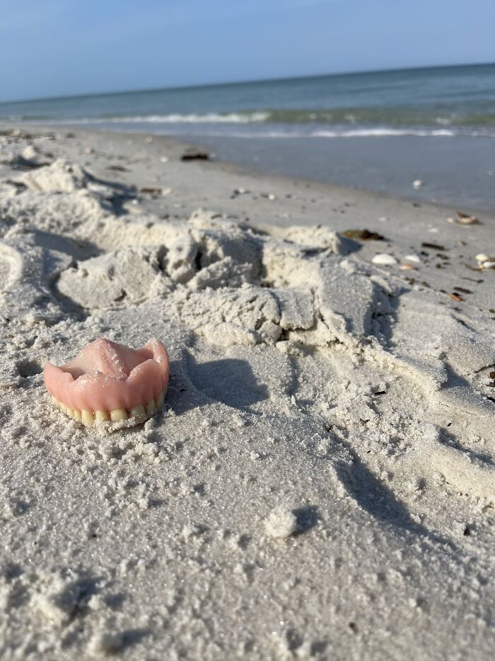 Out For A Swim……