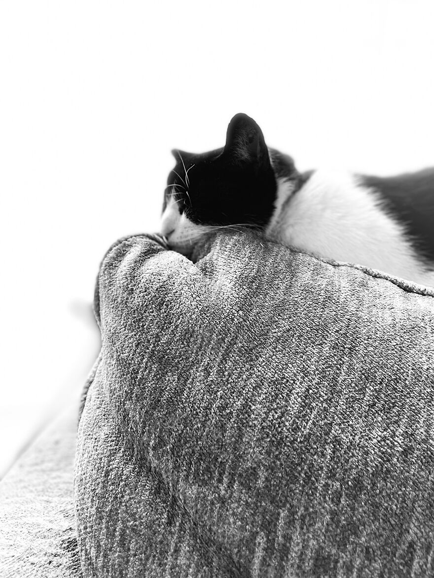 Looking At The Future