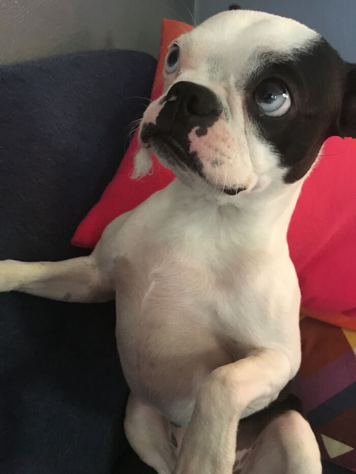 I Don’t Know Nothin’ About No Pillow