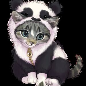 ida-steinwall avatar