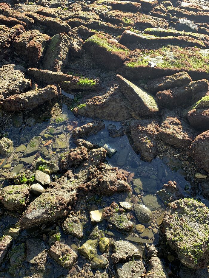 Can You Spot The Bottle?