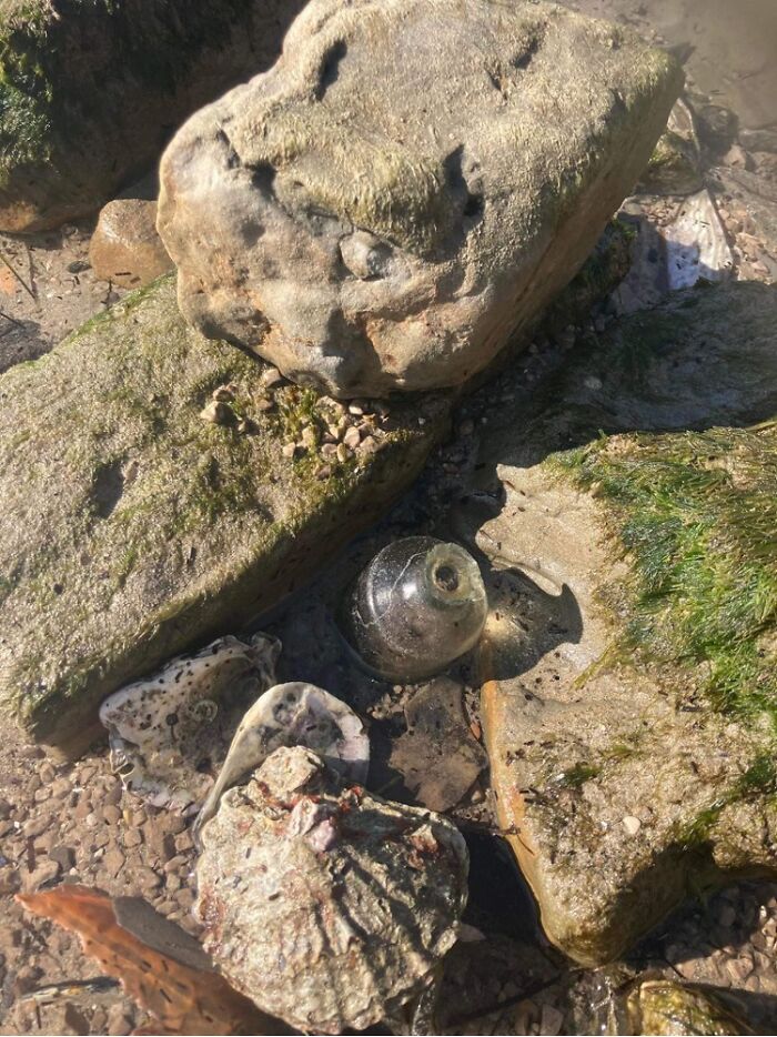 Can You Spot The Bottle?