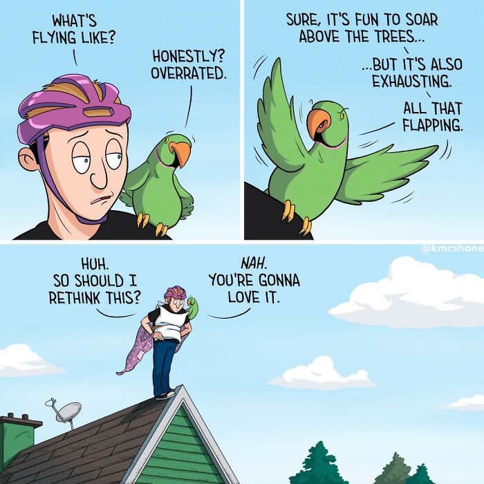 Comic showing a person and a parrot discussing flying, featuring hilarious and relatable comic art by Kevin McShane.