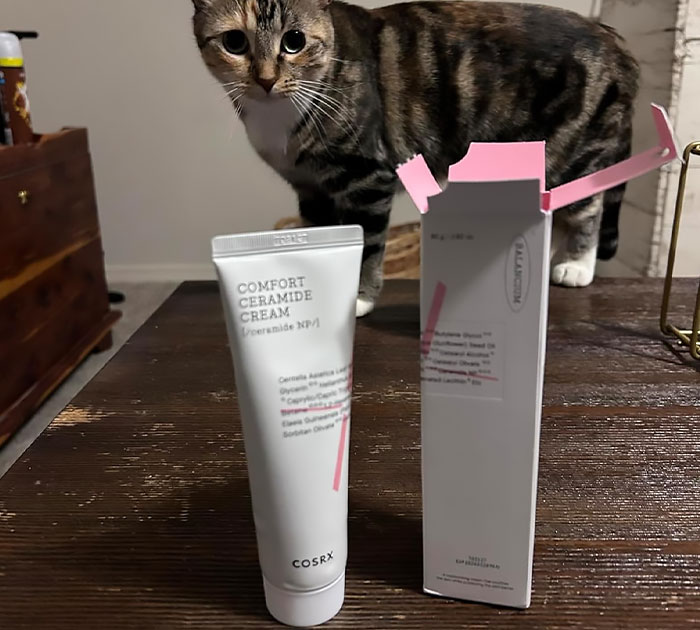 Dive Into Deep Comfort: Cosrx Balancium Packs A Ceramide Punch!