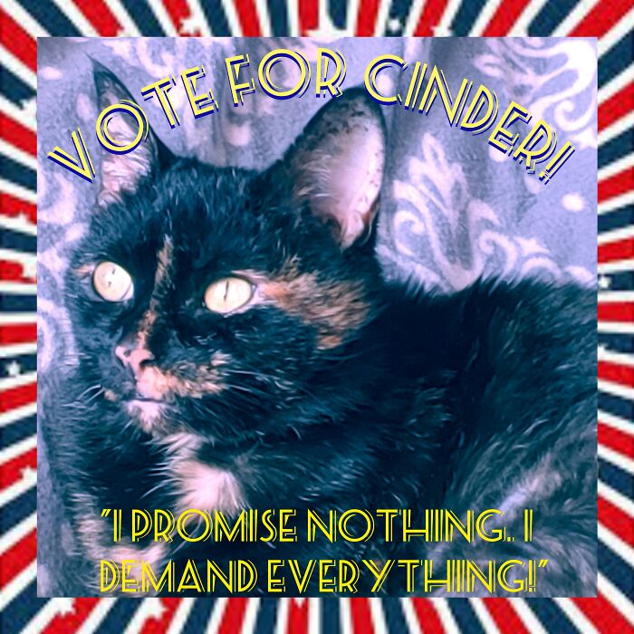 Cinder Looking To The Future