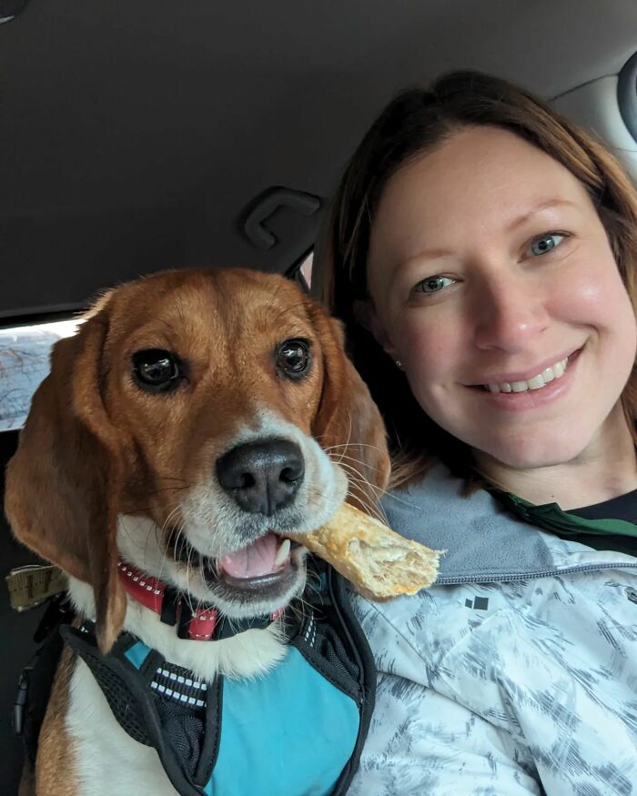 Meet Dora, The Beagle Who Was Rescued From A Lab And Was Given A Chance At A New Life