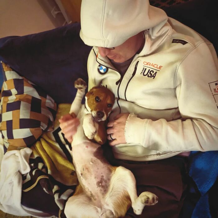 Meet Dora, The Beagle Who Was Rescued From A Lab And Was Given A Chance At A New Life