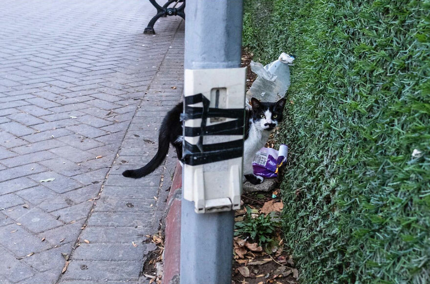 Photographer Serkan Tekin Captures Incredible Coincidences Of Everyday Life On The Streets