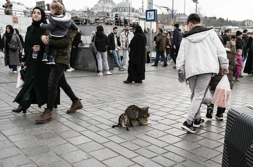 Photographer Serkan Tekin Captures Incredible Coincidences Of Everyday Life On The Streets