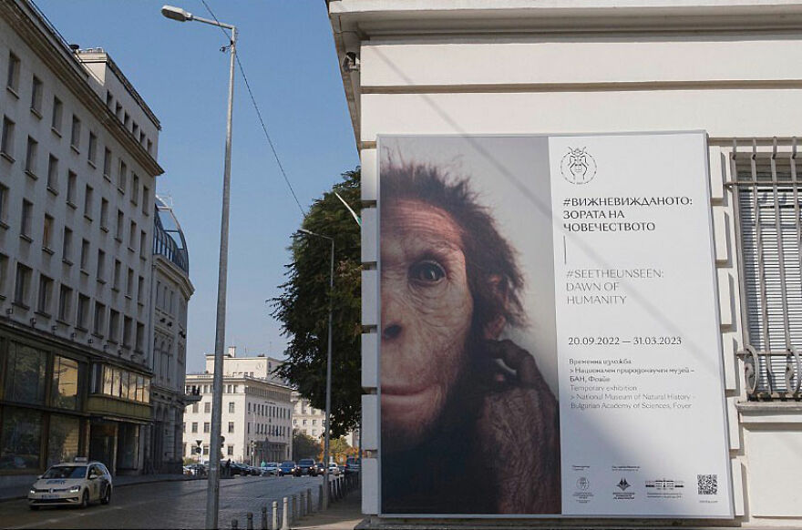 Photographer Serkan Tekin Captures Incredible Coincidences Of Everyday Life On The Streets