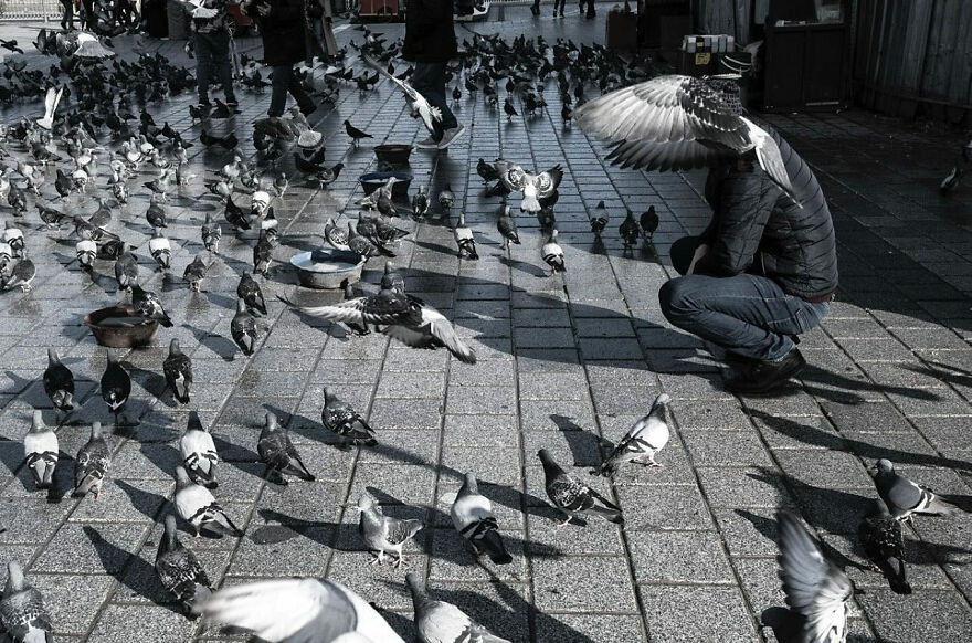 Photographer Serkan Tekin Captures Incredible Coincidences Of Everyday Life On The Streets