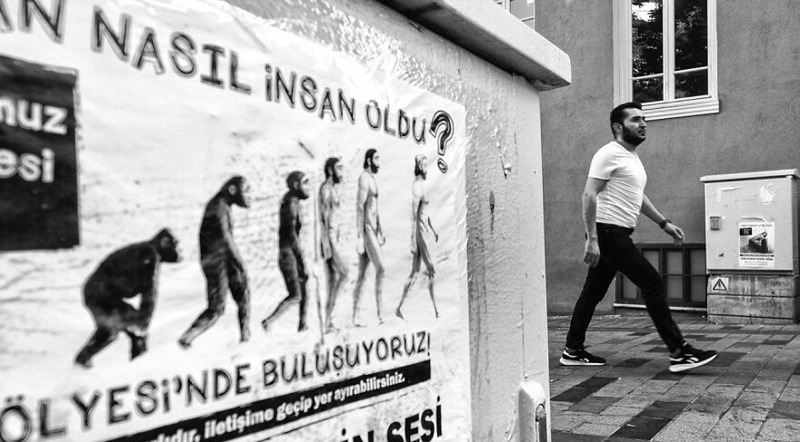 Photographer Serkan Tekin Captures Incredible Coincidences Of Everyday Life On The Streets